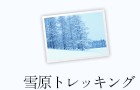 雪原トレッキング