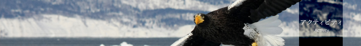 アクティビティ