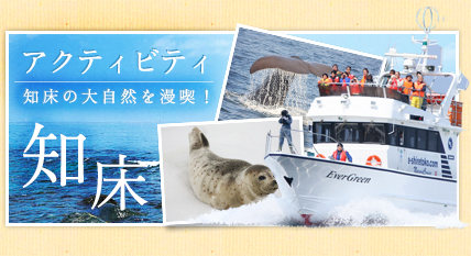 アクティビティ/知床の大自然を漫喫！