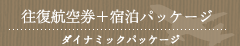 往復航空券＋宿泊パッケージ/ダイナミックパッケージ